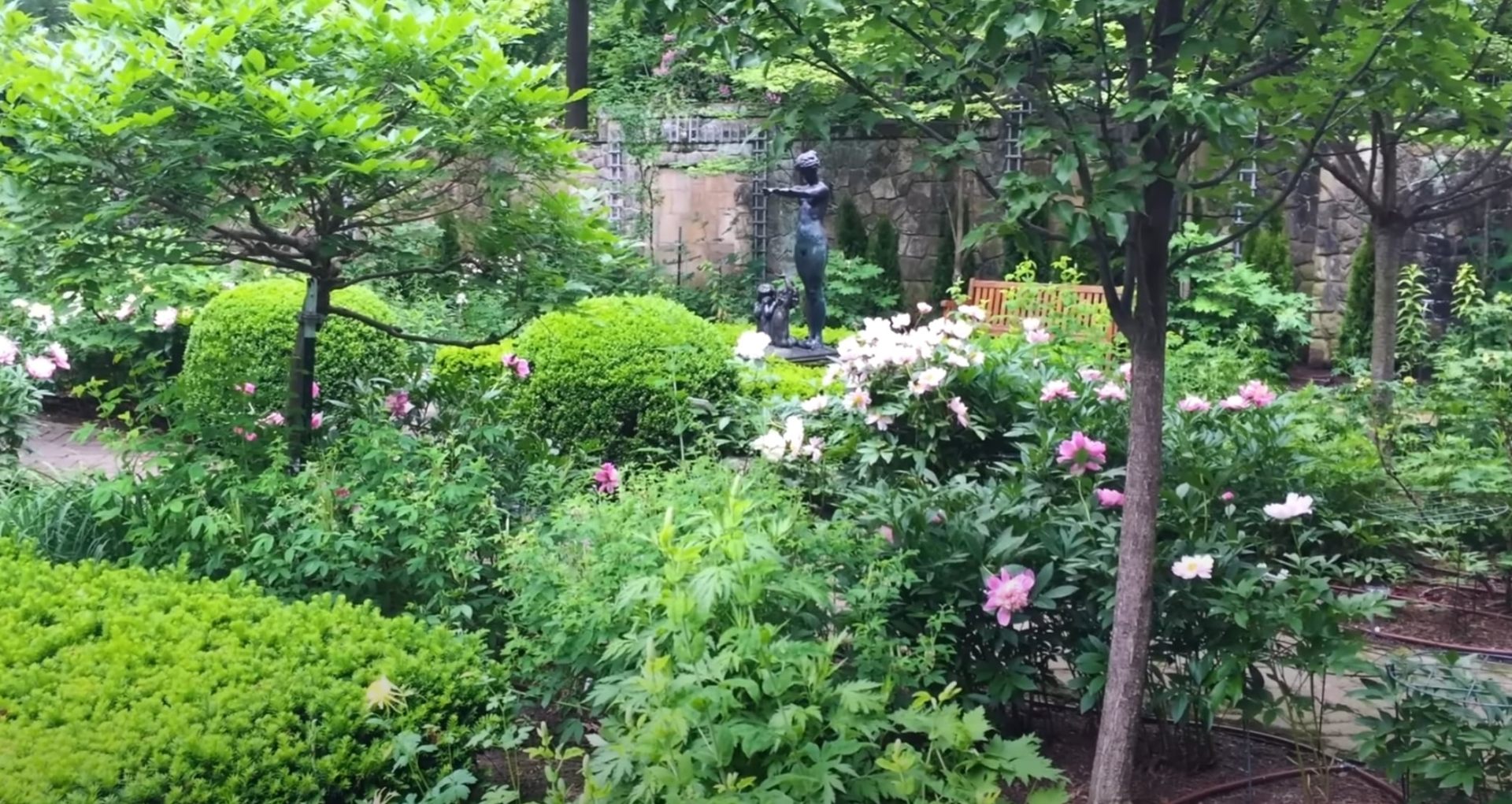 Professional garden design featuring low-maintenance native plants and perennials Lush garden with diverse flowering plants and mature trees in Channelview, TX